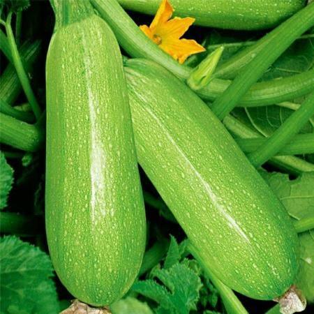 2023年6月网红吃瓜,盘点热门事件与幕后真相 第2张 2023年6月网红吃瓜,盘点热门事件与幕后真相 第2张